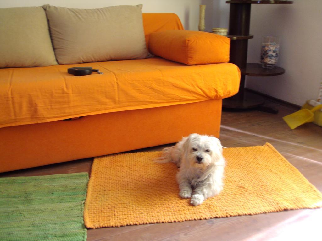 Apartment Toby Сплит Номер фото